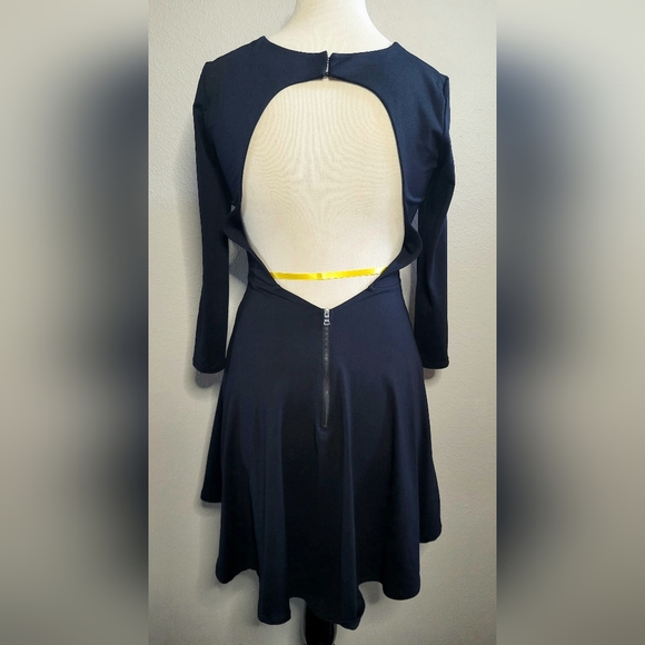 David Lerner Skater Dress - Picture 3 of 4